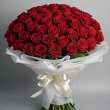 Букет 101 Красная роза Блэк Мэджик в Комсомольское Чувашия
