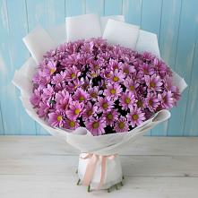 Букет цветов из:  Хризантемы в Комсомольское Чувашия