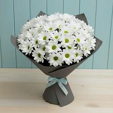 Букет цветов из:  Хризантемы в Комсомольское Чувашия