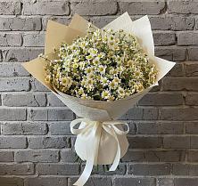 Букет цветов из:  Ромашки в Комсомольское Чувашия