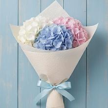 Букет цветов из:  Гортензия в Комсомольское Чувашия