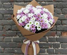 Букет цветов из:  Хризантемы в Комсомольское Чувашия