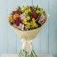 Букет цветов из:  Альстромерии в Комсомольское Чувашия