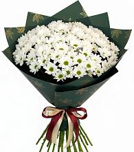 Букет цветов из:  Хризантемы в Комсомольское Чувашия