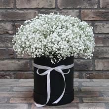 Цветочная композиция из Гипсофила в шляпной коробке в Комсомольское Чувашия