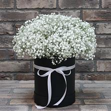 Цветочная композиция из Гипсофила в шляпной коробке в Комсомольское Чувашия