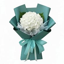 Букет цветов из:  Гортензия в Комсомольское Чувашия
